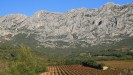 Provenza : La travesía de la provenza