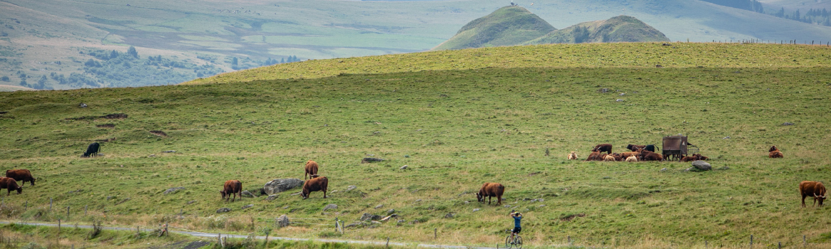 Circuito en estrella Cantal Francia