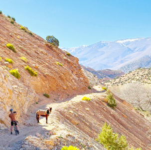 Un homme en vélo gravel prend un photo d'un âne qui est a milieu de la piste dans l'Atlas marocain