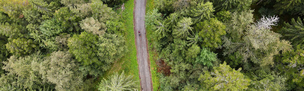 Un hombre en bicicleta de gravel en una pequeña carretera vista desde el cielo en el corazón del bosque del Jura