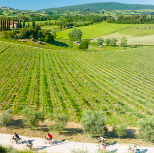 Grupo de ciclistas de gravel en una pequeña carretera rodeada de viñedos en la Toscana.