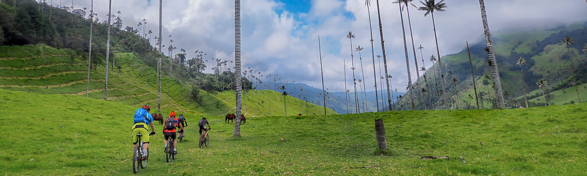 Grupo realizando un viaje en bicicleta de montaña en Colombia en un ambiente tropical