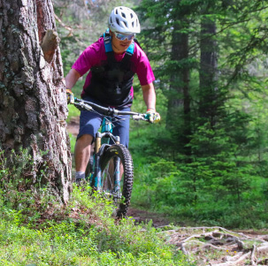 Bicicleta de montaña en los bosques de alerces de los Alpes del Sur